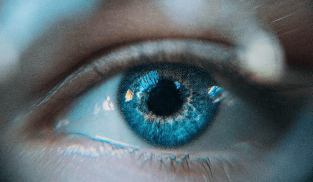 Vision systems technology